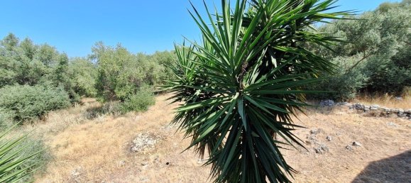 3 غرف نوم عقار تجاري في Corfu, Greece رقم 2000 25