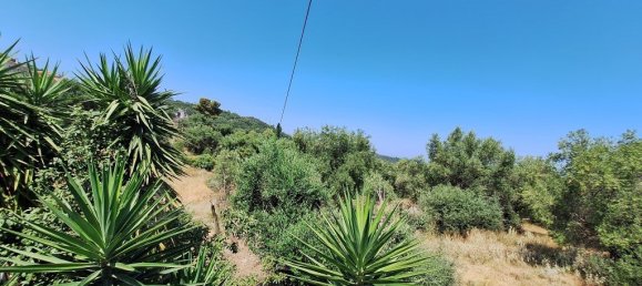 3 غرف نوم عقار تجاري في Corfu, Greece رقم 2000 26