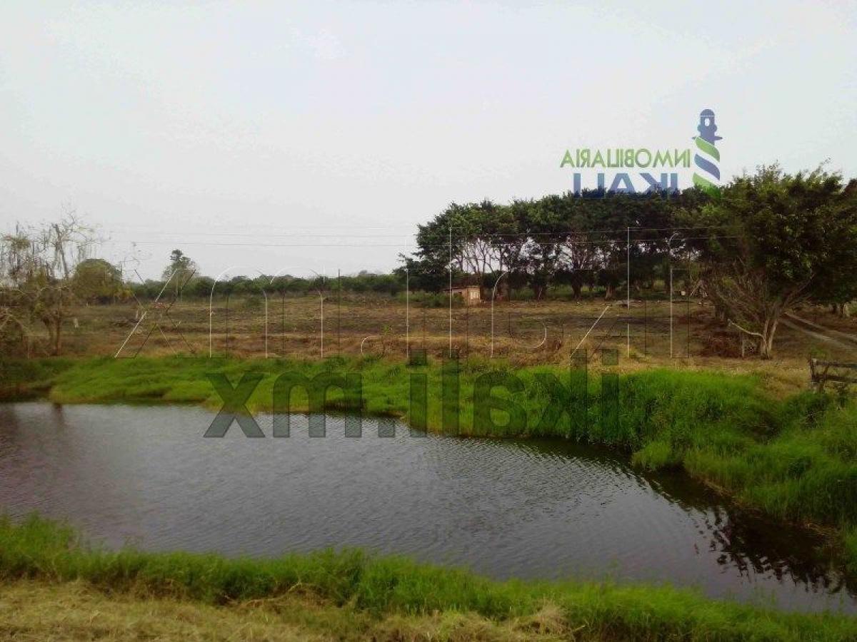  قطعة أرض في Veracruz, Mexico رقم 204000