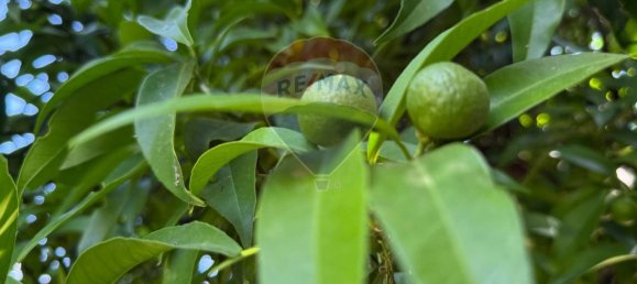 Земельный участок 55324м² в Джарре, Италия № 266455 7