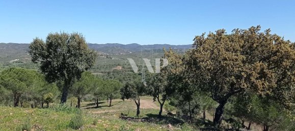 803240m² Land in Sao Bartolomeu de Messines, Portugal No. 9693 8