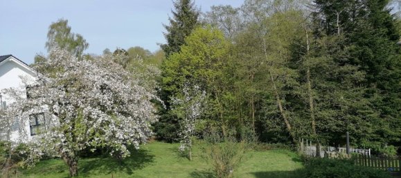 11-Zimmer Haus in Schleswig-Flensburg, Germany, Nr. 97823 26