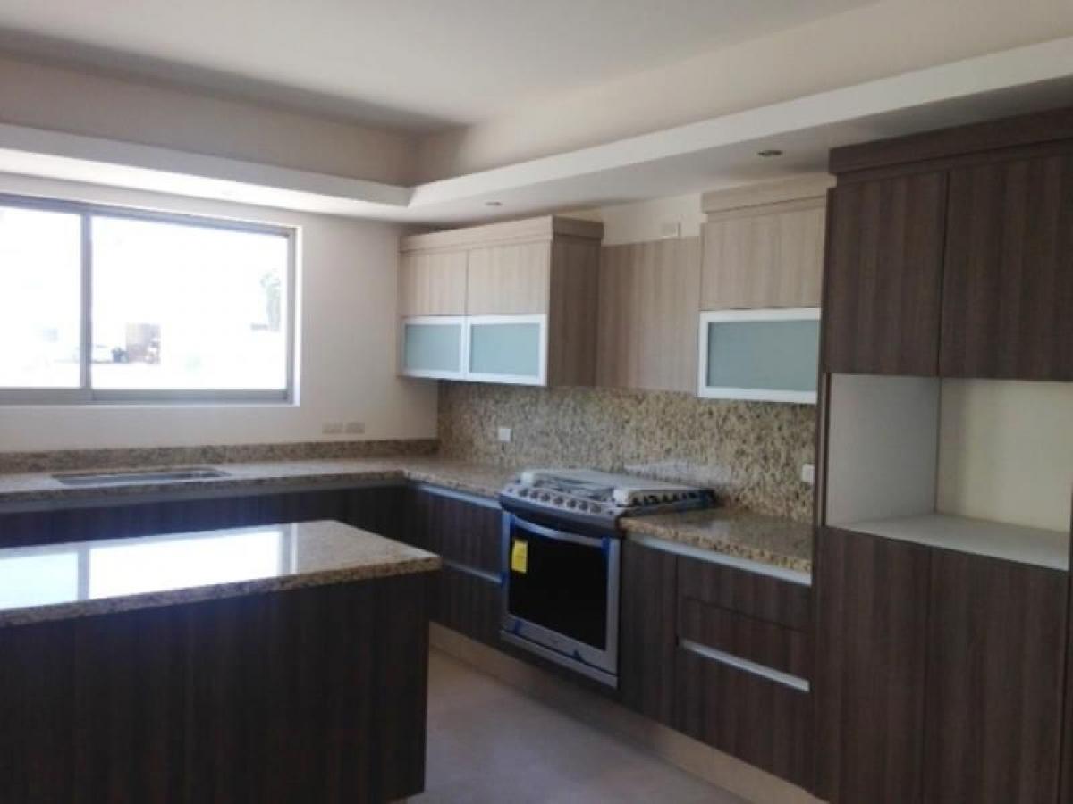 3 bedrooms House in Playa Vicente, Mexico No. 154927