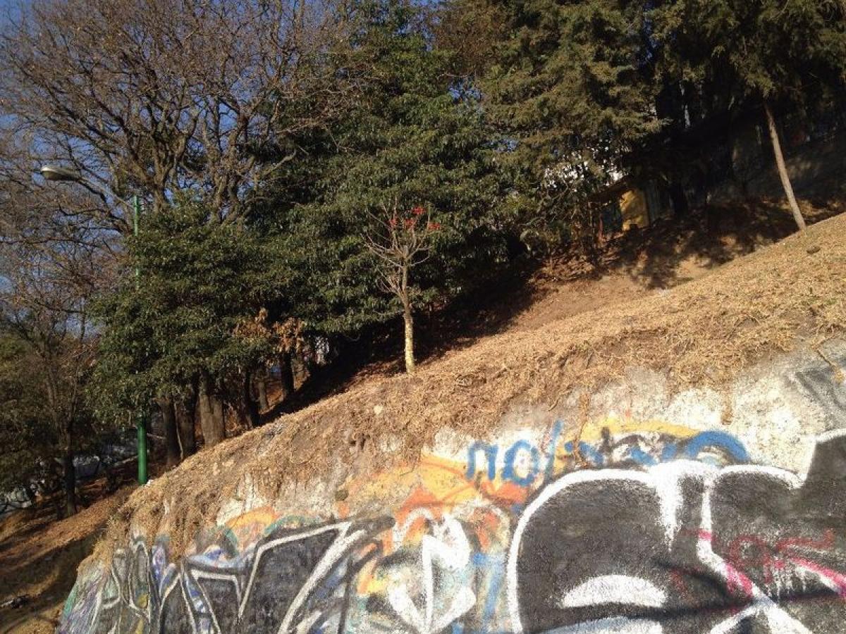  Land in Mexico No. 202797