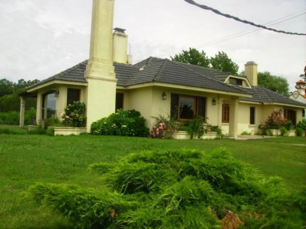 Studio in Maldonado, Uruguay No. 9996