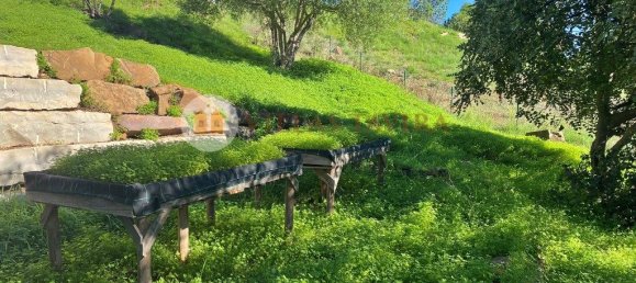 Дом с 2 спальнями в Санта Катарина да Фонте ду Бишпу, Португалия № 127935 17