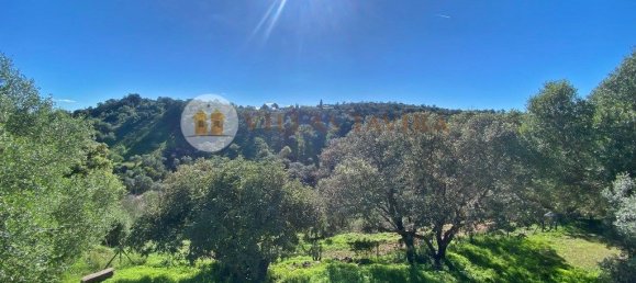 Дом с 2 спальнями в Санта Катарина да Фонте ду Бишпу, Португалия № 127935 26