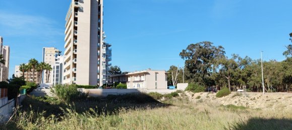 Terreno em Guardamar del Segura, Spain 2546 m² N.º 57171 11