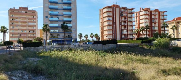 Terreno em Guardamar del Segura, Spain 2546 m² N.º 57171 8