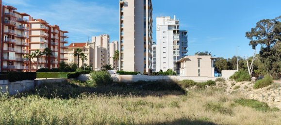 Terreno em Guardamar del Segura, Spain 2546 m² N.º 57171 10