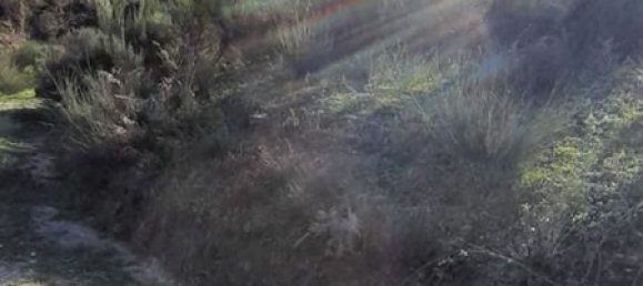 24500m² Land in Oliveira do Hospital, Portugal No. 10059 7