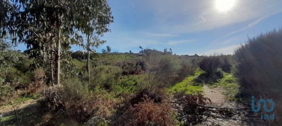 24500m² Land in Oliveira do Hospital, Portugal No. 10059 8