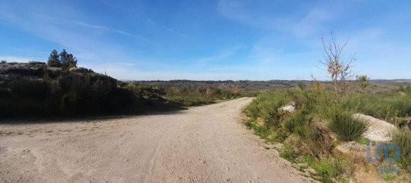 24500m² Land in Oliveira do Hospital, Portugal No. 10059 2