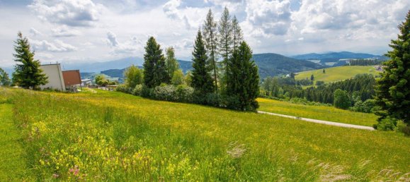  Land in Volkermarkt, Austria No. 162375 10