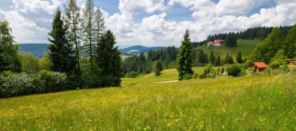  Land in Volkermarkt, Austria No. 162375 8