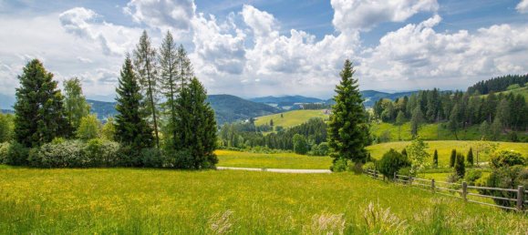  Land in Volkermarkt, Austria No. 162375 9