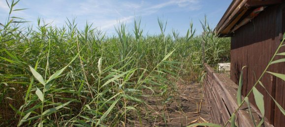 4-Zimmer Haus in Rust, Austria, Nr. 161736 22