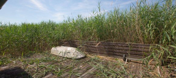 4-Zimmer Haus in Rust, Austria, Nr. 161736 21