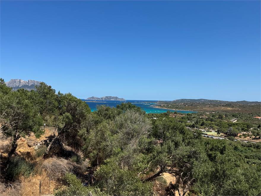 4 bedrooms Villa in Olbia, Italy No. 313896