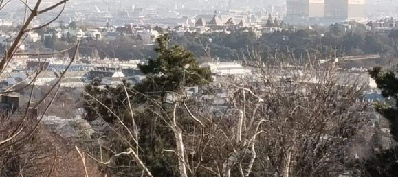 قطعة أرض في Dobling, Austria رقم 165343 3