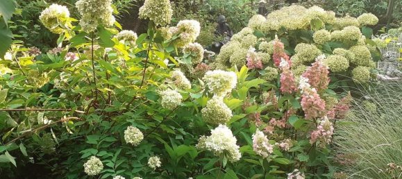 قطعة أرض في Dobling, Austria رقم 165343 4