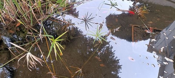 4 chambres Maison à Mortara, Italy No. 329657 33