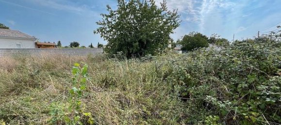 Земельный участок с 3 спальнями в Сен-Эмильон, Франция № 319820 3