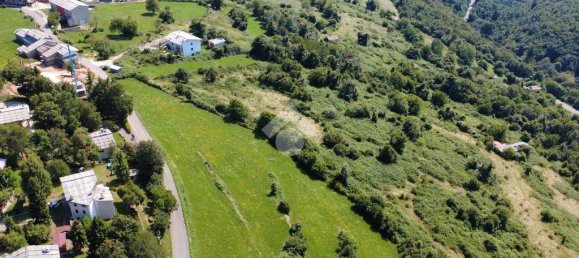 قطعة أرض في Erbezzo, Italy 16500متر مربع رقم 282204 21