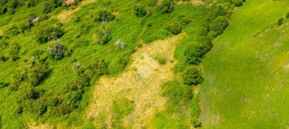 قطعة أرض في Erbezzo, Italy 16500متر مربع رقم 282204 10