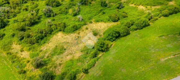 قطعة أرض في Erbezzo, Italy 16500متر مربع رقم 282204 11