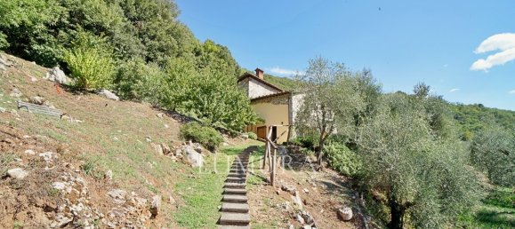 3 Schlafzimmer Haus in Borgo a Mozzano, Italy, Nr. 232525 8