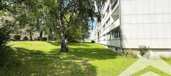 2 rooms Apartment in Leonding, Austria No. 248551 3