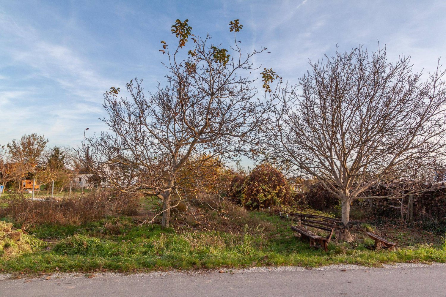 Grundstück in Gols, Austria 911m², Nr. 242829