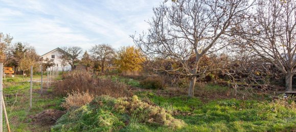 Grundstück in Gols, Austria 911m², Nr. 242829 3