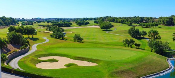 2 bedrooms Apartment in Pilar de la Horadada, Spain No. 10860 11