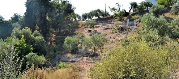 5780m² Hotel in Corfu, Greece No. 4611 5