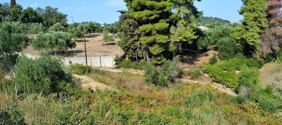 5780m² Hotel in Corfu, Greece No. 4611 8