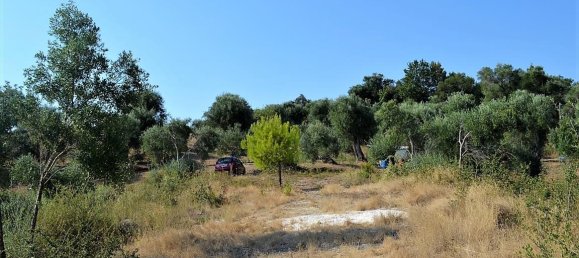 5780m² Hotel in Corfu, Greece No. 4611 7