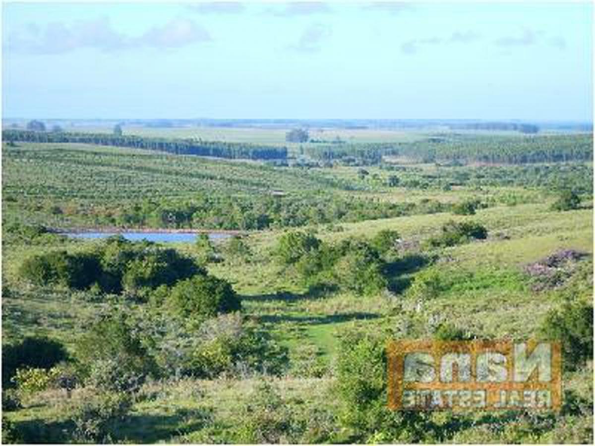 Quinta em Maldonado, Uruguay 36 m² N.º 14842