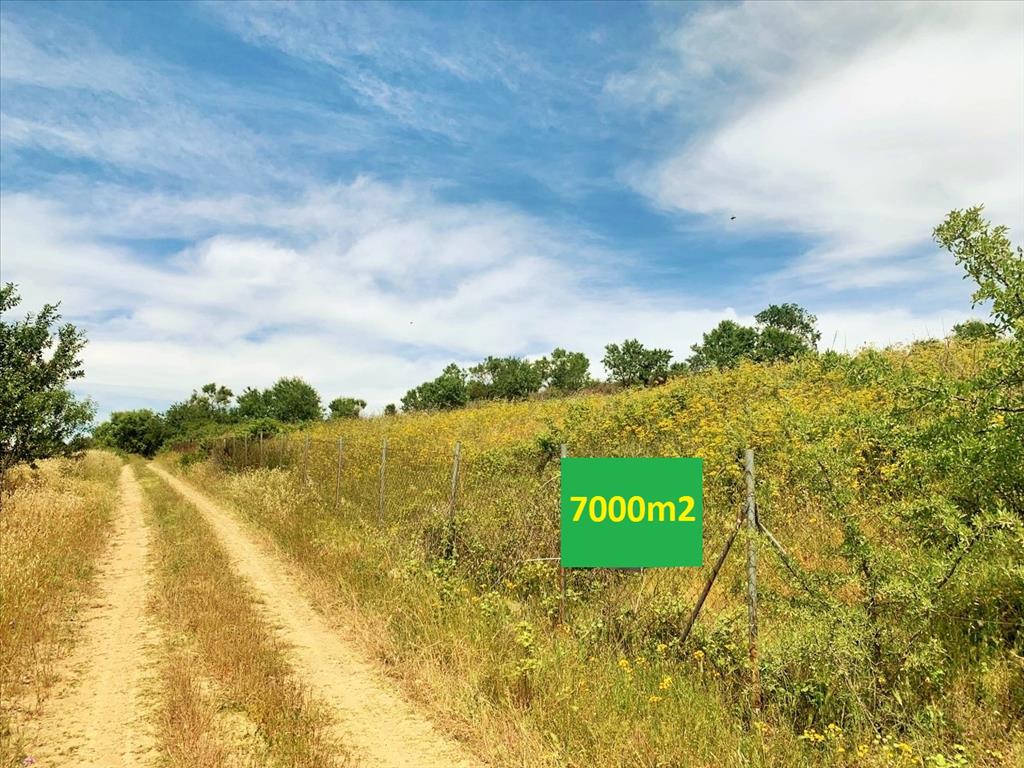 7000m² Hotel in Thessaloniki, Greece No. 4906