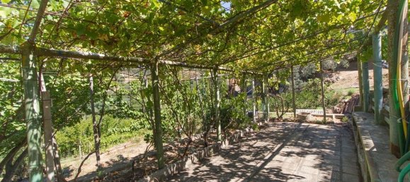 Studio in Monte Argentario, Italy, Nr. 13584 17