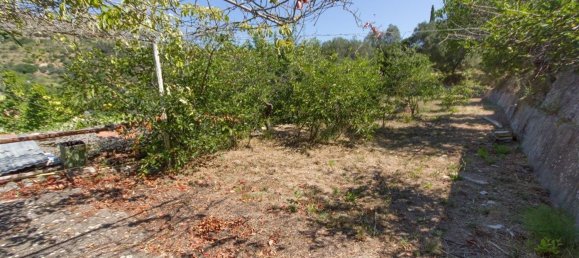 Studio in Monte Argentario, Italy, Nr. 13584 34