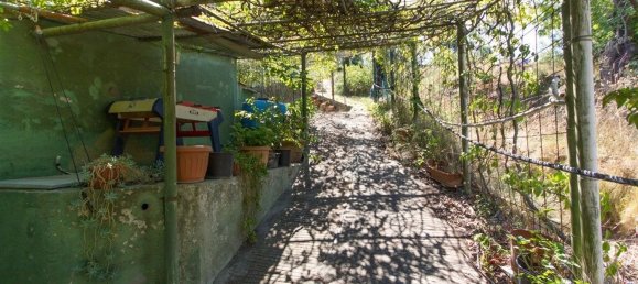 Studio in Monte Argentario, Italy, Nr. 13584 21