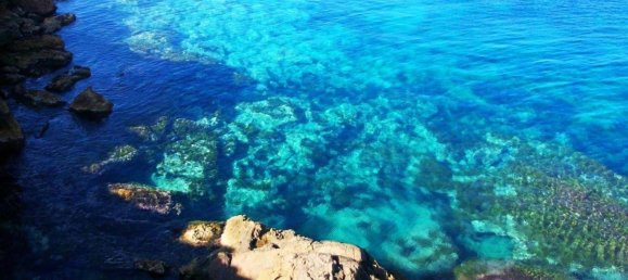 2 غرف نوم شقة في Murcia, Spain رقم 131566 22