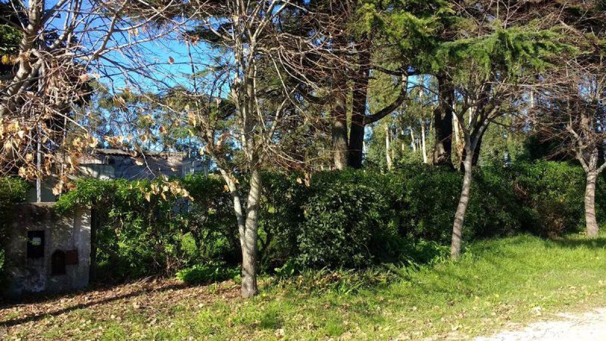  Land in Mar del Plata, Argentina No. 121515