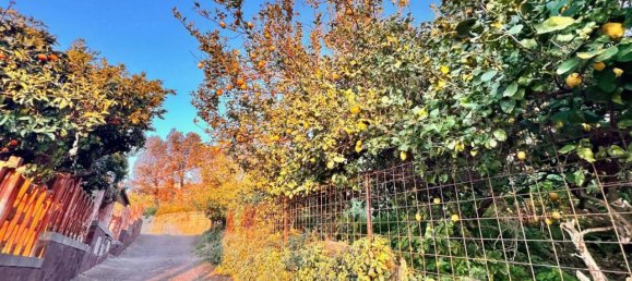 3-salle Maison à Pozzuoli, Italy No. 40995 15