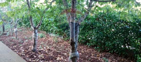 Вилла с 2 спальнями в Кассано делле Мурдже, Италия № 138434 26