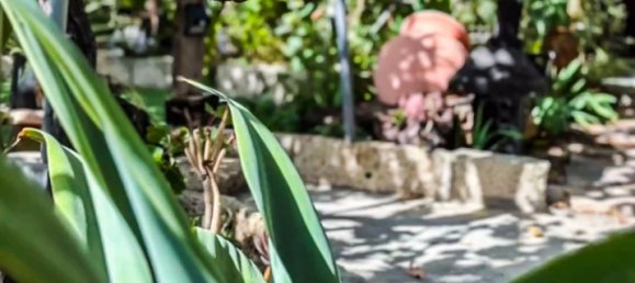 6 Schlafzimmer Hotel in San Miguel de Abona, Spain, Nr. 27688 15