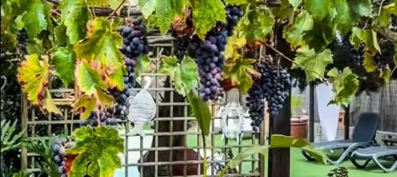 6 Schlafzimmer Hotel in San Miguel de Abona, Spain, Nr. 27688 13