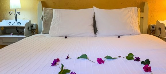 6 Schlafzimmer Hotel in San Miguel de Abona, Spain, Nr. 27688 32